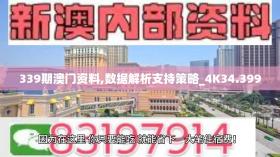 339期澳门资料,数据解析支持策略_4K34.399