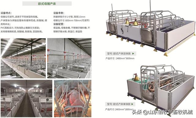 母猪产床标准尺寸及图片大全