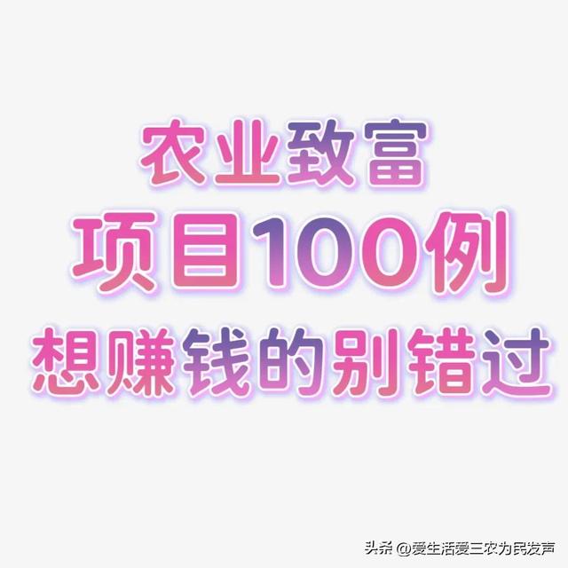 100个农业致富项目精选，助你发财致富，速来收藏！